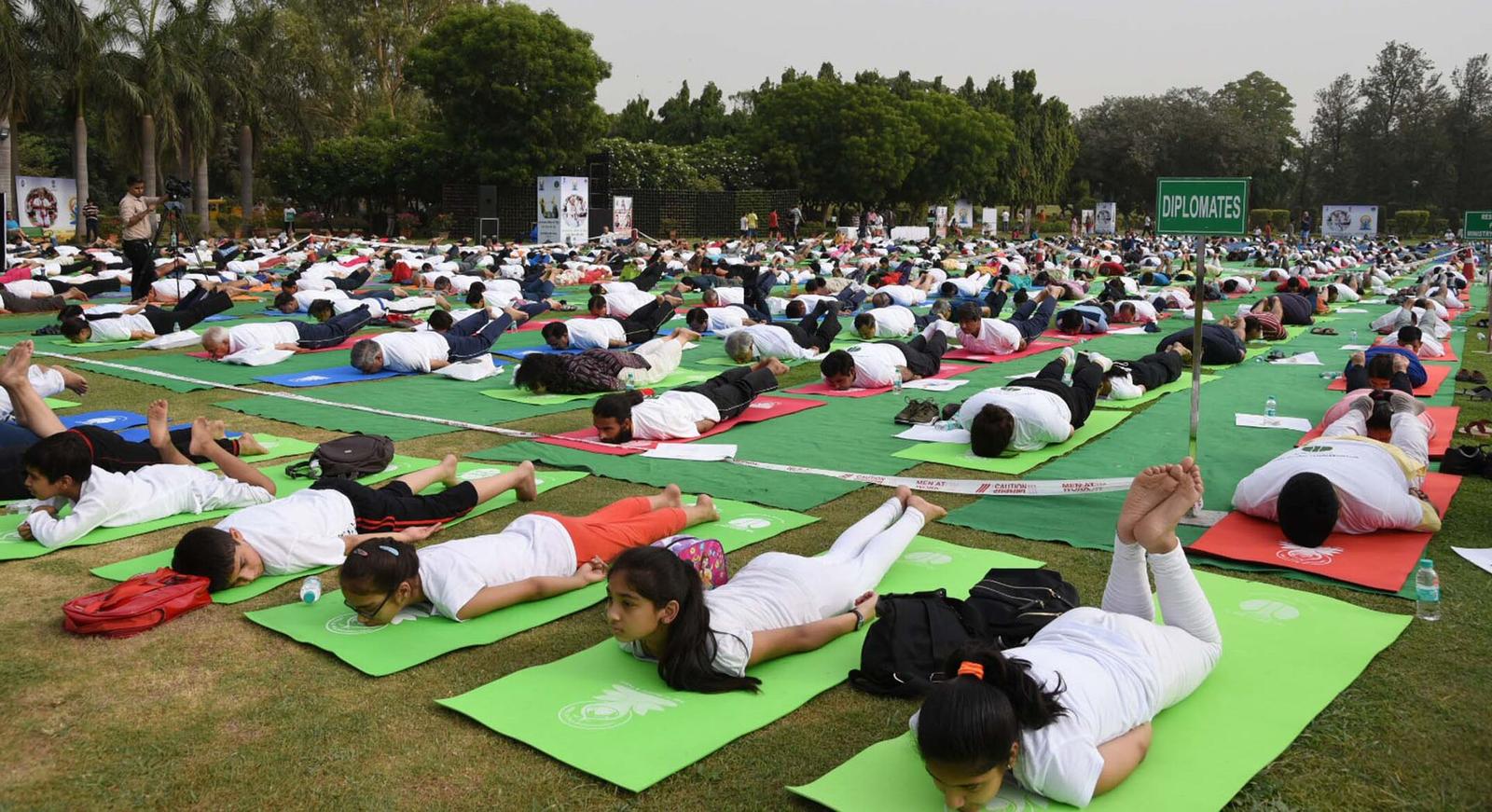 Delhi's Best Walking Trails Rated by Distance and Difficulty: From Lodi Garden to Sanjay Van