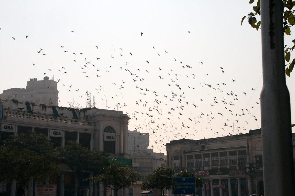 Delhi's New Business Zones Create Growth Opportunities for Local Enterprises
