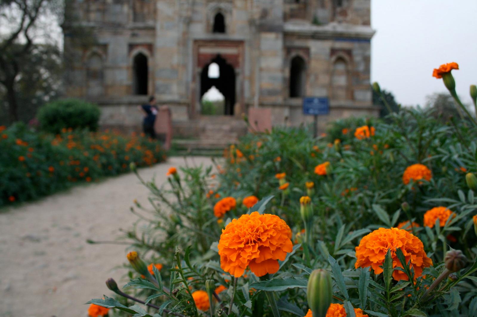 Delhi's Free Parks Transform Into Thriving Fitness Communities