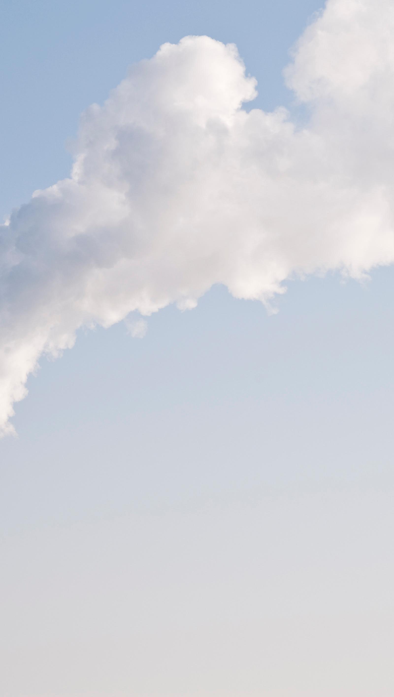 Delhi Residents Cut Indoor Air Pollution by 80% Using Air-Cleansing Plants
