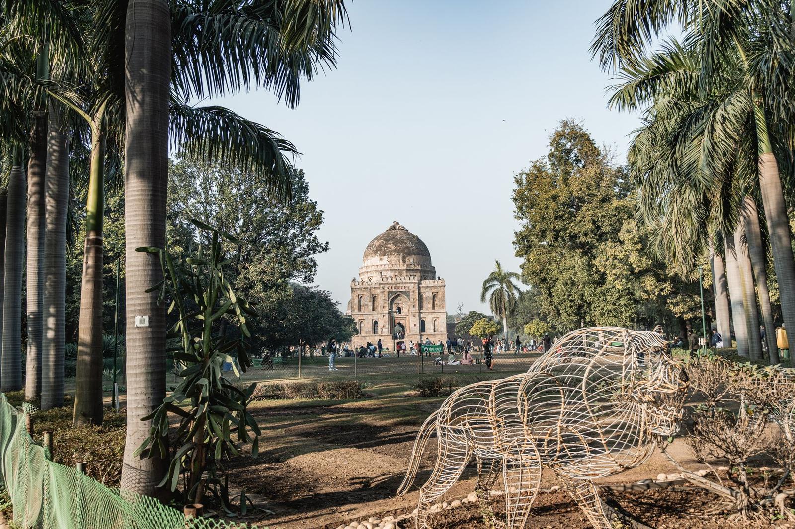 Nature Walks in Delhi: Hidden Local Trails