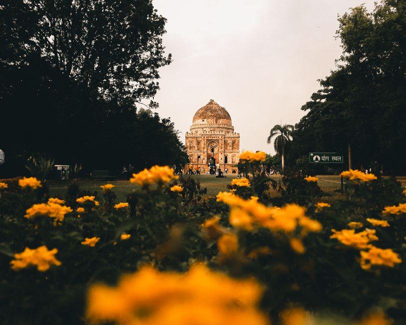 Delhi's Parks Transform Into Wellness Hubs With Yoga, Running Trails