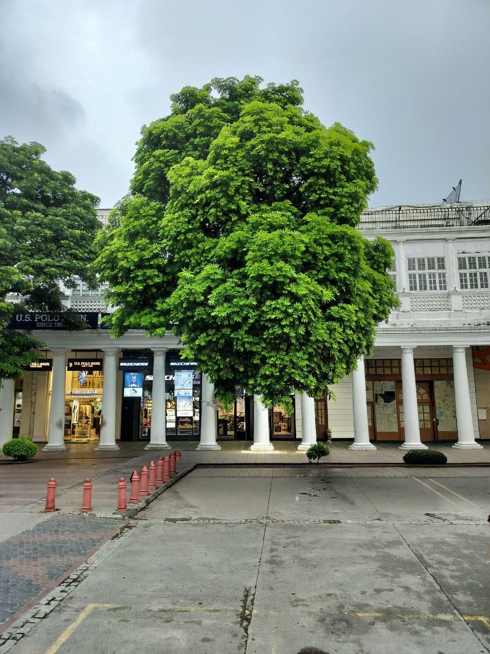 A View of Connaught Place, New Delhi